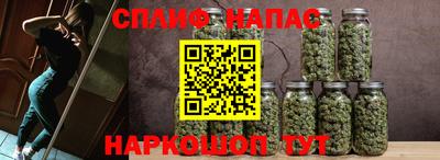 гашик Кимры