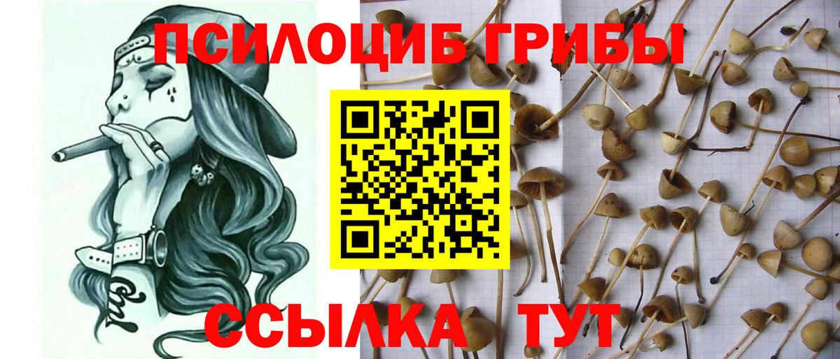 ГАШ Кубинка