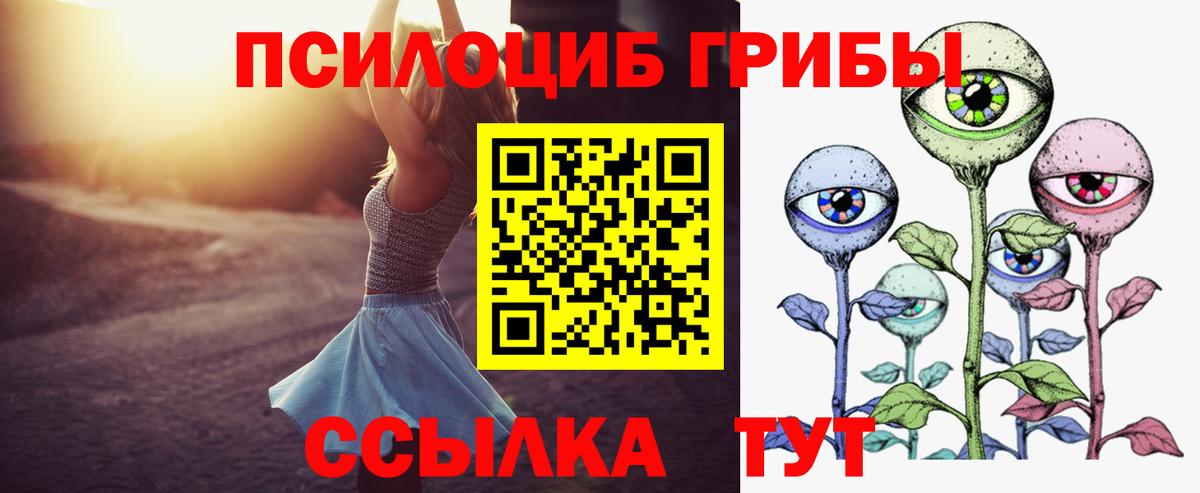 Псилоцибиновые грибы Psilocybe Кубинка